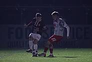 18.Spieltag BFC Dynamo - Hallescher FC
