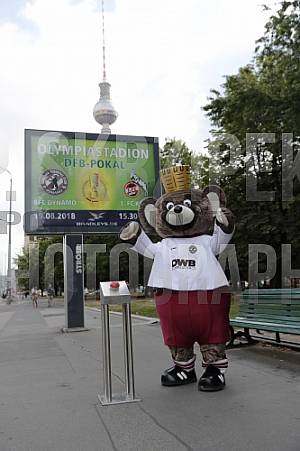 Werbung mit Teddy für die 1.Runde im DFB-Pokal
