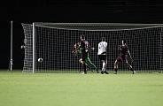 18.Spieltag BFC Dynamo - ZFC Meuselwitz,