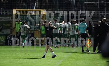 9.Spieltag BSG Chemie Leipzig - BFC Dynamo