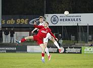 21.Spieltag ZFC Meuselwitz - BFC Dynamo