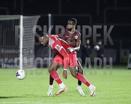 23.Spieltag BFC Dynamo - Greifswalder FC