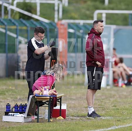 24.Spieltag BFC Dynamo U19 - Hallescher FC U19,