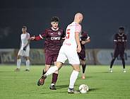 17.Spieltag BFC Dynamo - Lichtenberg 47,