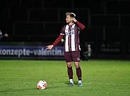 24.Spieltag BFC Dynamo - ZFC Meuselwitz,
