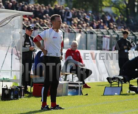 11.Spieltag BFC Dynamo - FSV Zwickau