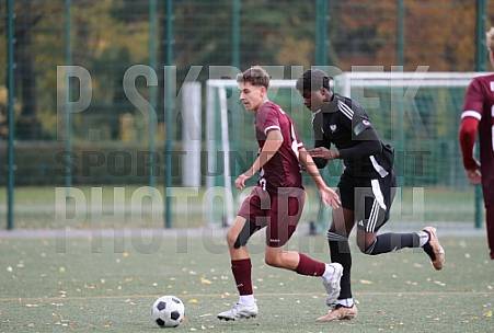 9.Spieltag BFC Dynamo U19 - BFC Preussen U19