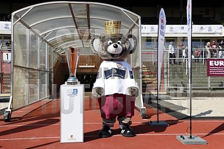 Pokalfinale VSG Altglienicke - BFC Dynamo,