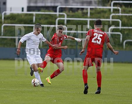 1.Spieltag BFC Dynamo U19 - FSV Zwickau U19