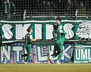 14.Spieltag BSG Chemie Leipzig - BFC Dynamo