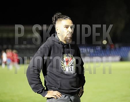 11.Spieltag BFC Dynamo - VfB Germania Halberstadt