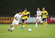 9.Spieltag VFC Plauen - BFC Dynamo