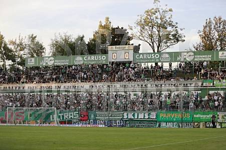 9.Spieltag BSG Chemie Leipzig - BFC Dynamo