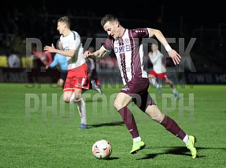 24.Spieltag BFC Dynamo - ZFC Meuselwitz,