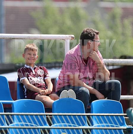 Testspiel BFC Dynamo - SV Sparta Lichtenberg