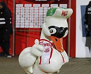 18.Spieltag FSV Zwickau - BFC Dynamo,