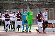 25.Spieltag FSV Budissa Bautzen - BFC Dynamo