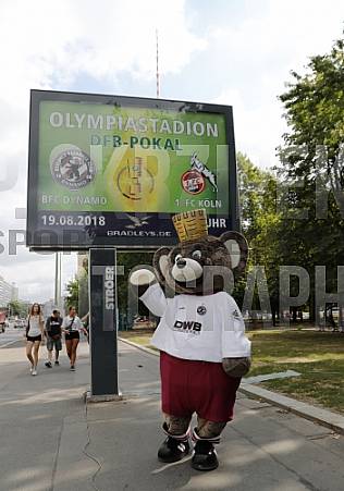 Werbung mit Teddy für die 1.Runde im DFB-Pokal