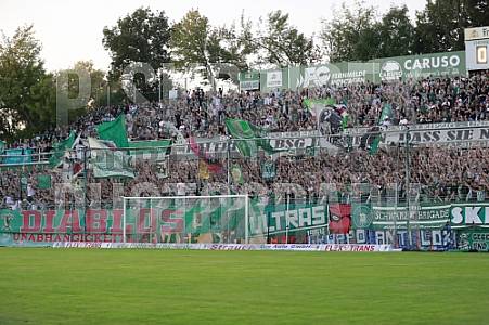 9.Spieltag BSG Chemie Leipzig - BFC Dynamo