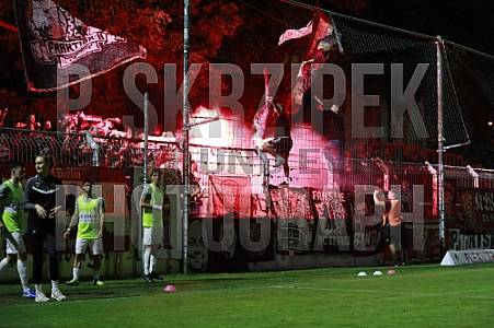 9.Spieltag BSG Chemie Leipzig - BFC Dynamo