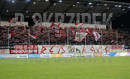 17.Spieltag FSV Zwickau - BFC Dynamo