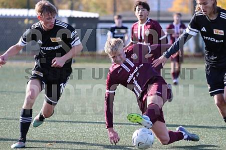 8.Spieltag BFC Dynamo U17 - 1.FC Union U16