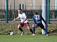 Testspiel BFC Dynamo - SV Babelsberg 03,