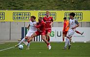 28. Spieltag FSV Zwickau - BFC Dynamo