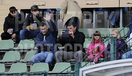 13.Spieltag BFC Dynamo - ZFC Meuselwitz,