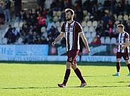 34.Spieltag VfB Auerbach - BFC Dynamo,