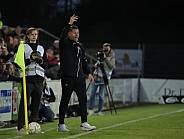 21.Spieltag ZFC Meuselwitz - BFC Dynamo