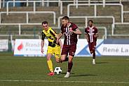 26.Spieltag BFC Dynamo - VFC Plauen