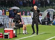 32. Spieltag BFC Dynamo - Hallescher FC