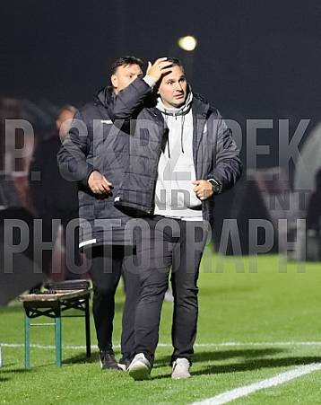 12.Spieltag BFC Dynamo - FC Viktoria 1889 Berlin