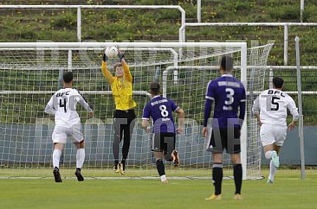 22.Spieltag BFC Dynamo U19 - Tennis Borussia U19 ,