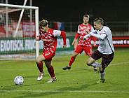 18.Spieltag FSV Zwickau - BFC Dynamo,