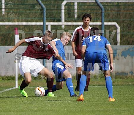 3.Spieltag BFC Dynamo U19 - FC Carl-Zeiss Jena U19