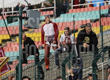 11.Spieltag BFC Dynamo - VfB Auerbach, 11.Spieltag BFC Dynamo - VfB Auerbach,