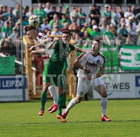 29.Spieltag BSG Chemie Leipzig - BFC Dynamo