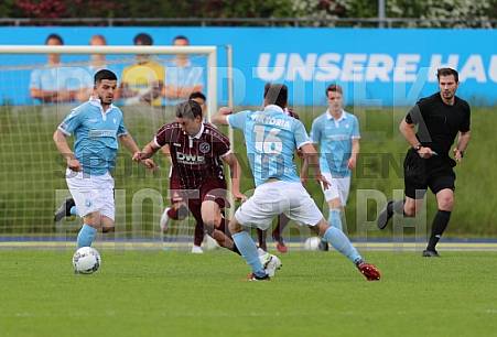 Halbfinale FC Viktoria 1889 - BFC Dynamo