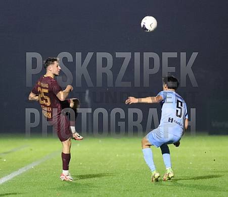 12.Spieltag BFC Dynamo - FC Viktoria 1889 Berlin