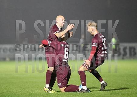 14.Spieltag BFC Dynamo - FC Viktoria 1889 Berlin