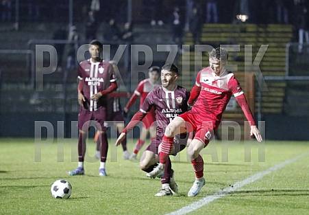 24.Spieltag BFC Dynamo - Greifswalder FC