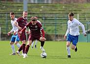 Cosy-Wasch Viertelfinale BFC Dynamo - VSG Altglienicke