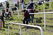 Subbotnik im Sportforum Berlin Stadion , Arbeitseinsatz