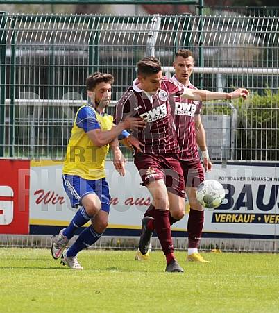 Testspiel FSV 63 Luckenwalde - BFC Dynamo