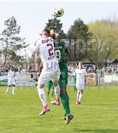 29.Spieltag BSG Chemie Leipzig - BFC Dynamo