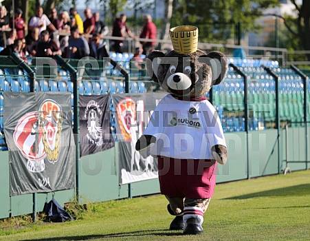 BFC Dynamo - BFC Dynamo Allstars Team,