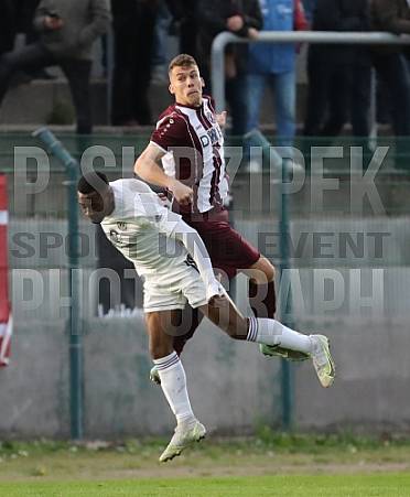 35.Spieltag BFC Dynamo - Tennis Borussia Berlin,