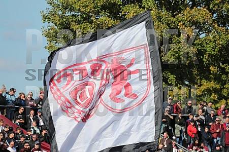 11.Spieltag BFC Dynamo - FSV Zwickau